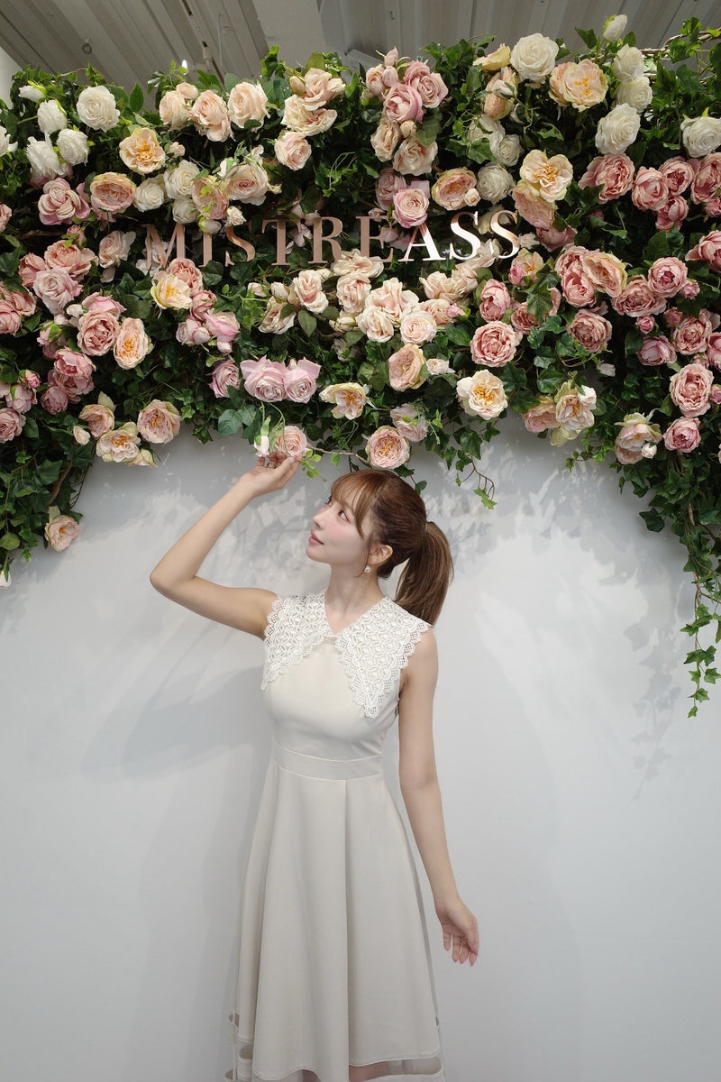 Lace Collar Sleeveless Dress