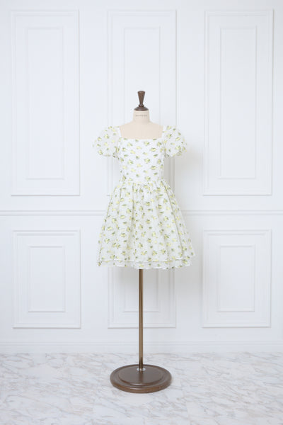 Sheer Ripple Mini Puff Dress