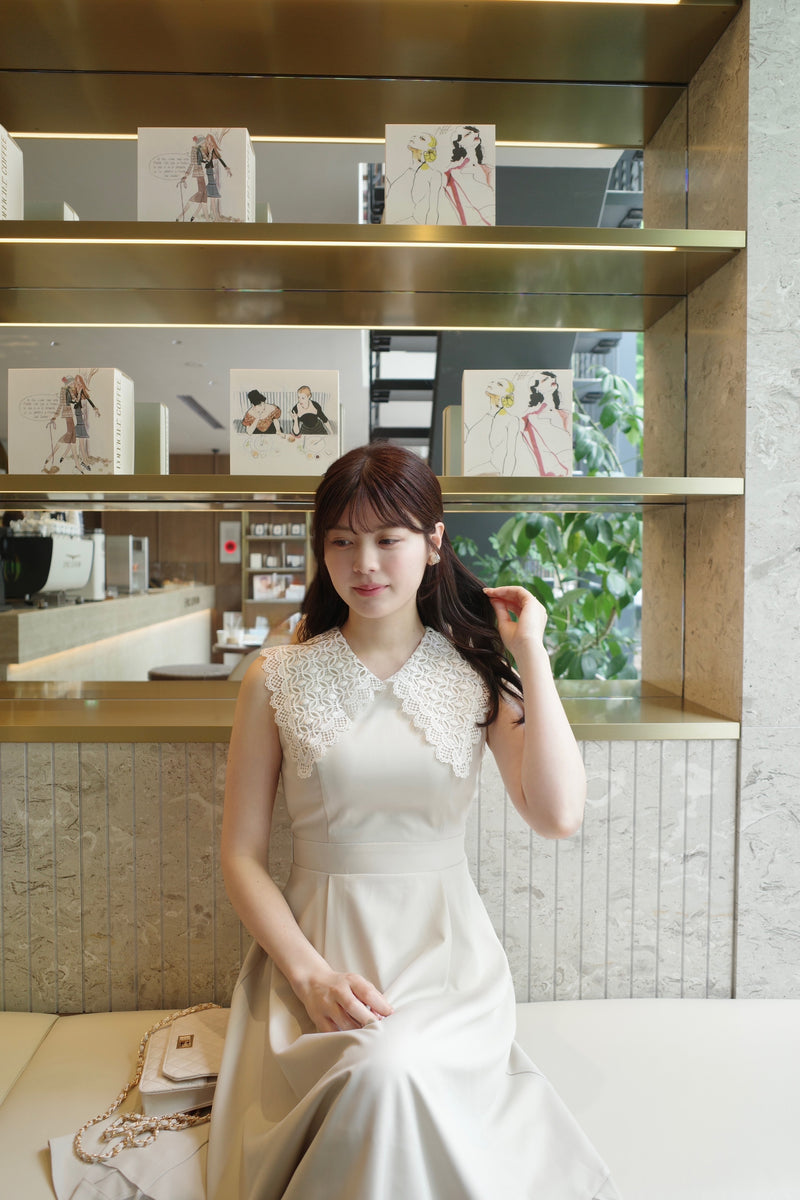 Lace Collar Sleeveless Dress