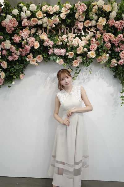 Lace Collar Sleeveless Dress