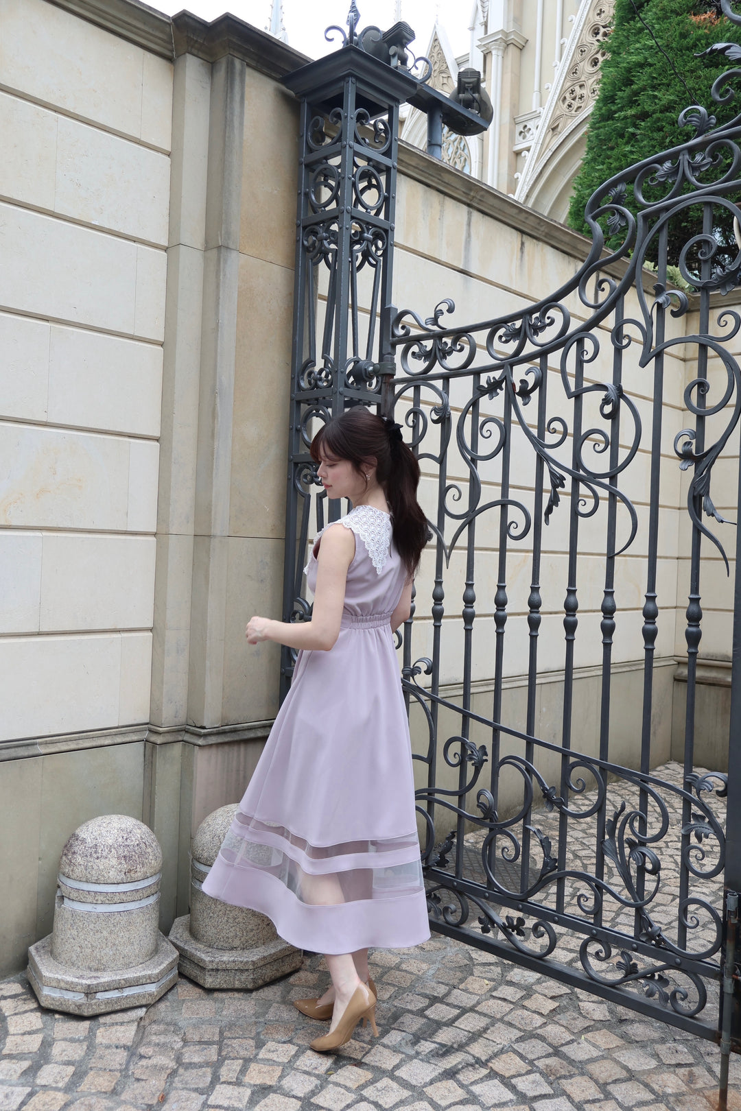Lace Collar Sheer Line Dress - MISTREASS