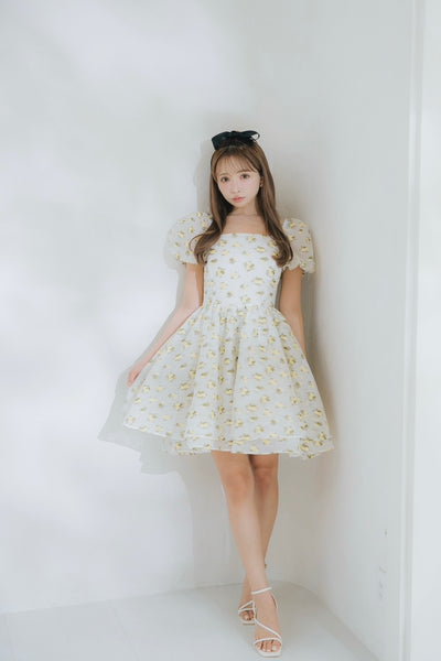 Sheer Ripple Mini Puff Dress