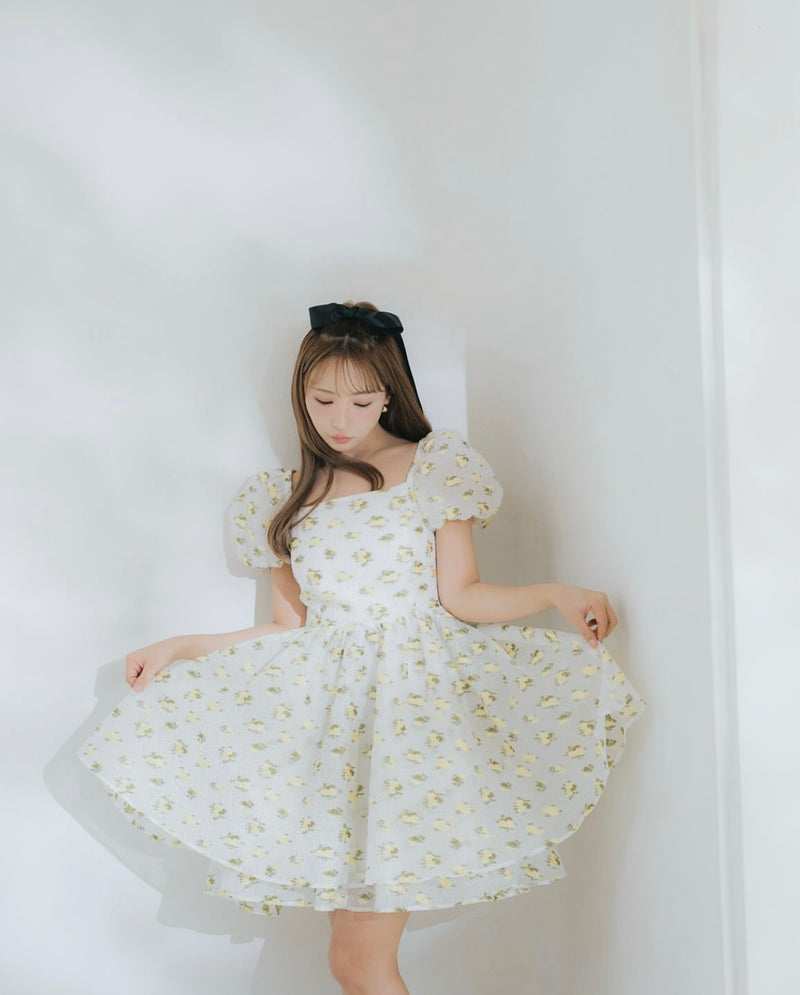 Sheer Ripple Mini Puff Dress