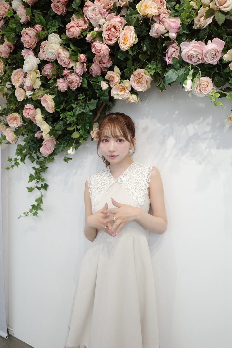 Lace Collar Sleeveless Dress
