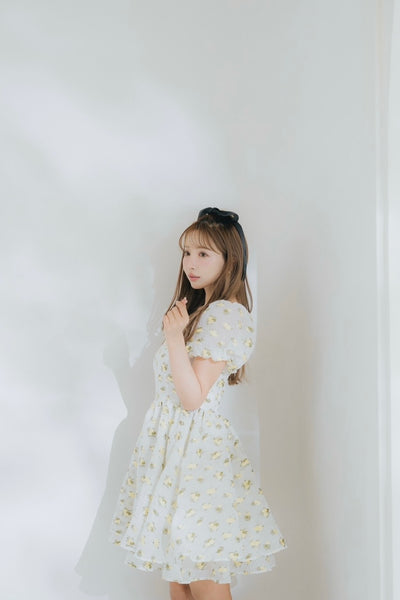 Sheer Ripple Mini Puff Dress
