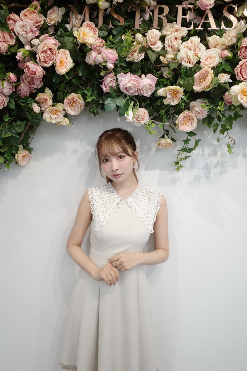 Lace Collar Sleeveless Dress