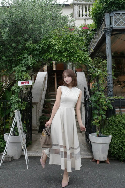 Lace Collar Sleeveless Dress