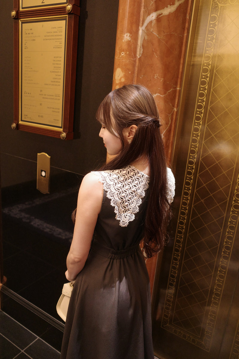 Lace Collar Sleeveless Dress