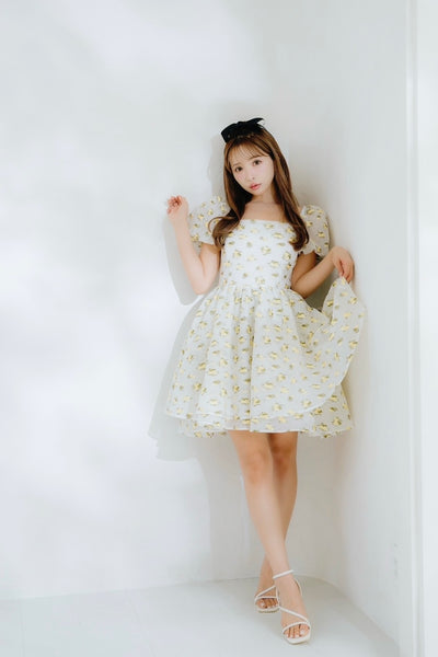 Sheer Ripple Mini Puff Dress