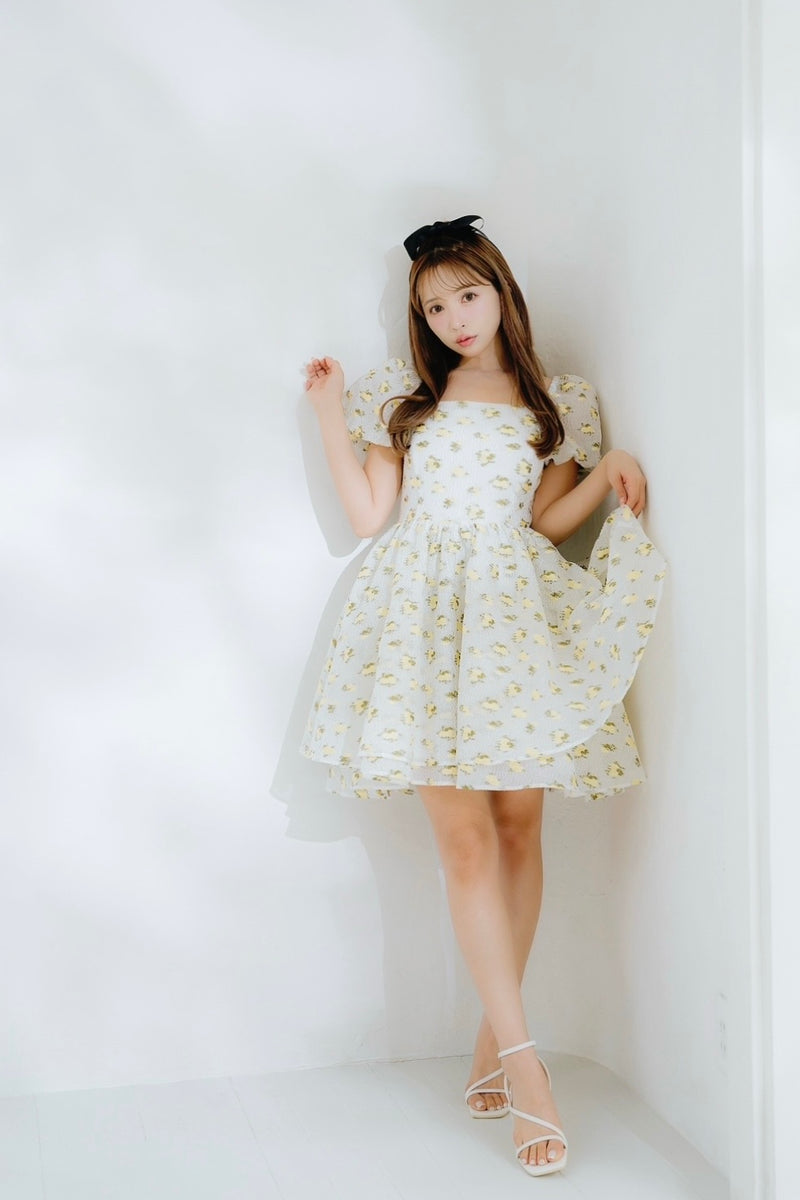 Sheer Ripple Mini Puff Dress