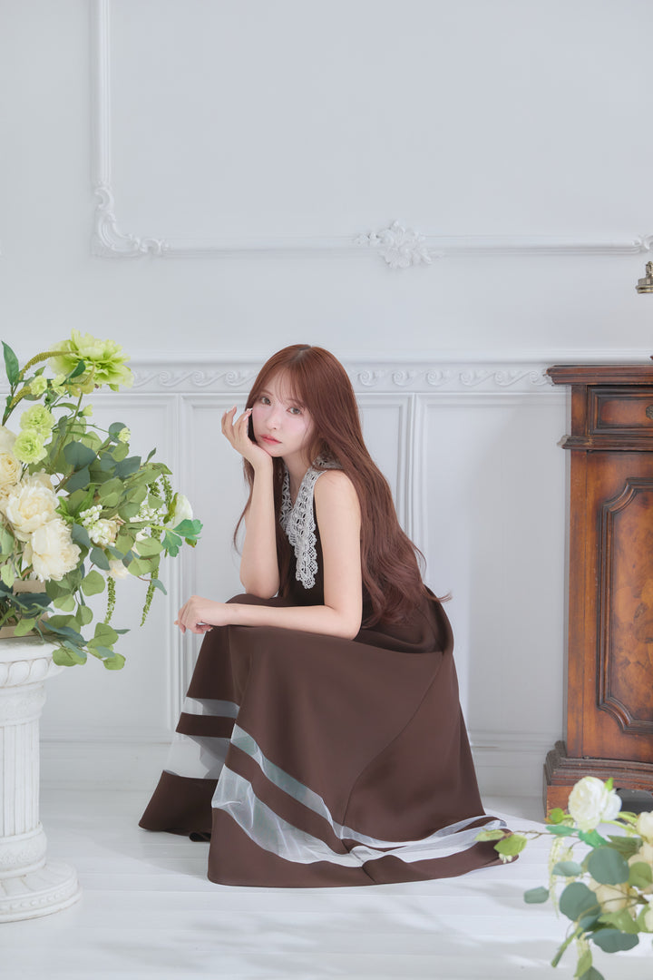 Lace Collar Sheer Line Dress - MISTREASS