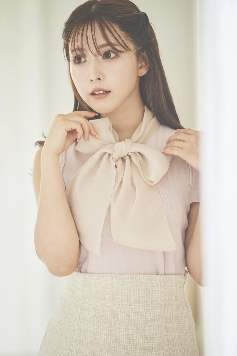Soft Organdy Ribbon Knit Top