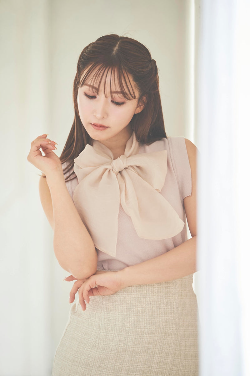 Soft Organdy Ribbon Knit Top