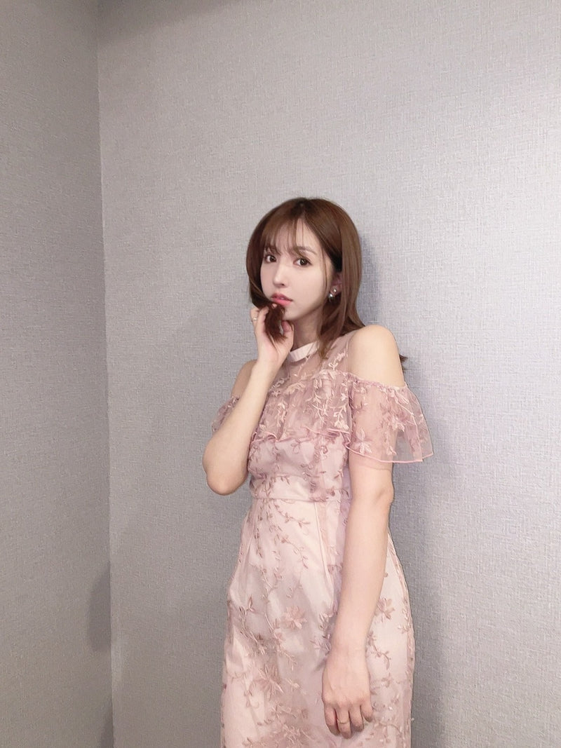 Embroidery Tulle Mermaid Dress