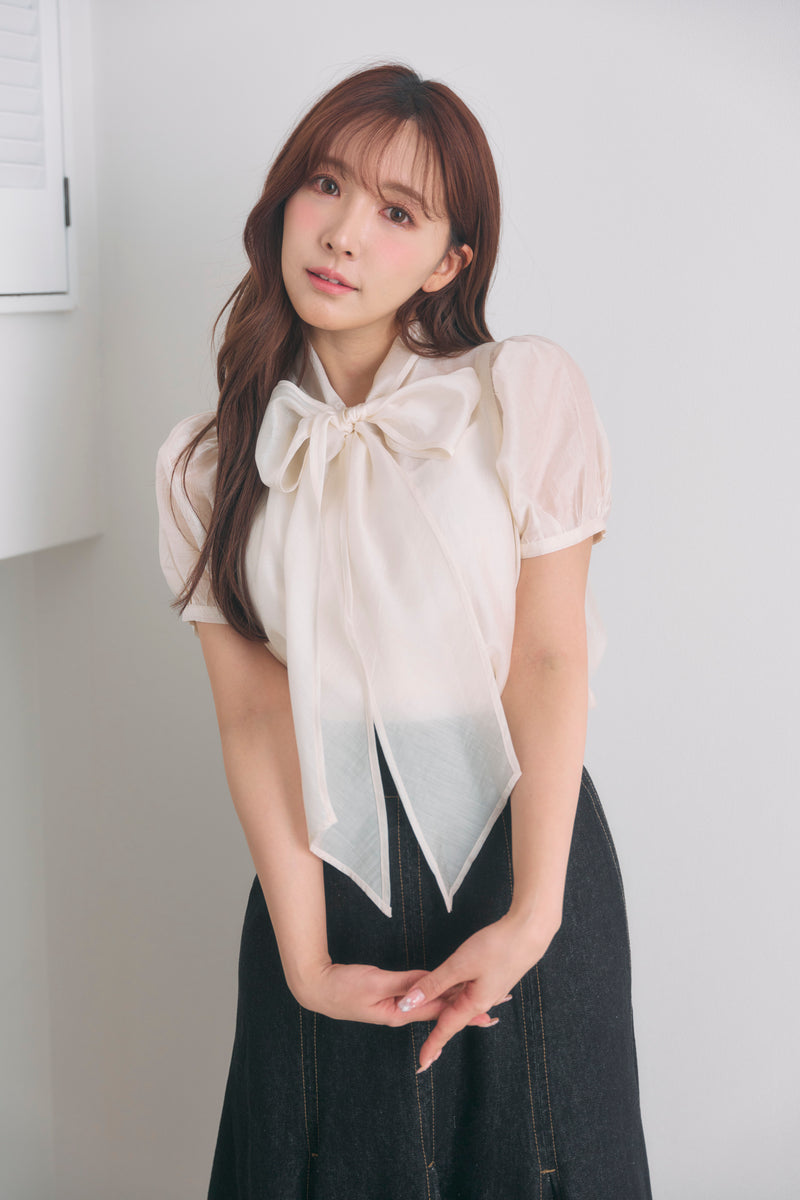 Sheer Ribbon Blouse